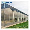 Greenhouse de policarbonato com sistema de cultivo hidropônico da NFT